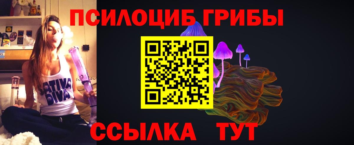 Псилоцибиновые грибы Cubensis  Вход с VPN  Югорск 